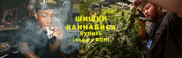 PSILOCYBIN Баксан