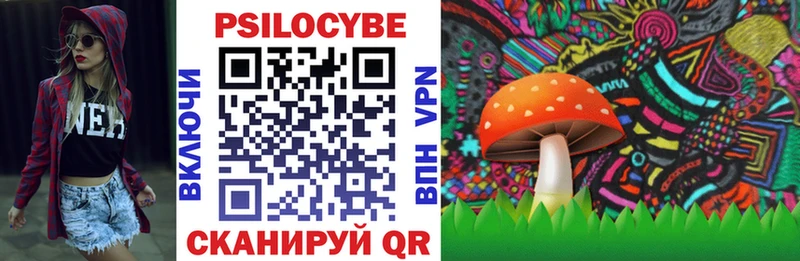 Галлюциногенные грибы мухоморы  закладки  Курильск 